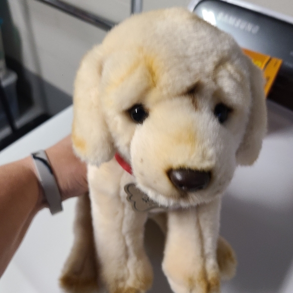 FAO Schwarz Other - FAO Schwarz small puppy